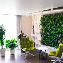 ¿Cómo hacer jardinería vertical en el interior? -5