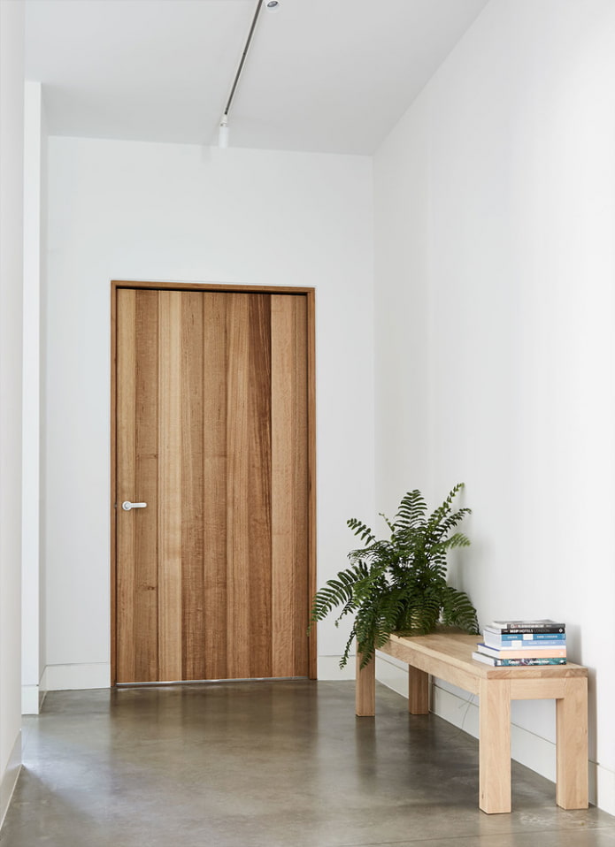 modelo de puerta de entrada de estilo minimalista