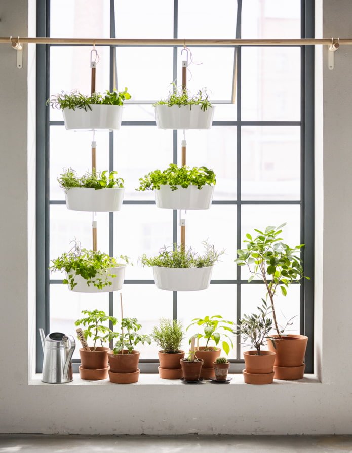 Estantes con vegetación en la ventana