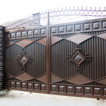 ¿Qué puerta elegir para una casa particular? - 0
