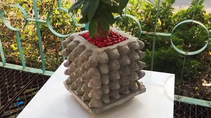 flower pot