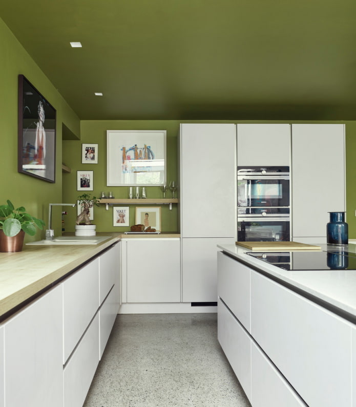 revestimiento de techo verde en la cocina