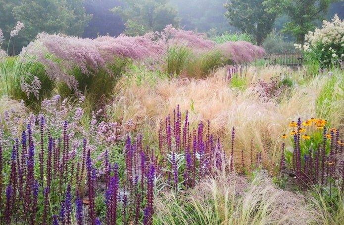 Pradera floreciente con cereales