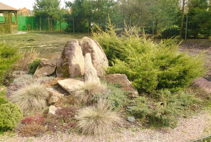 Jardín de rocas con granos
