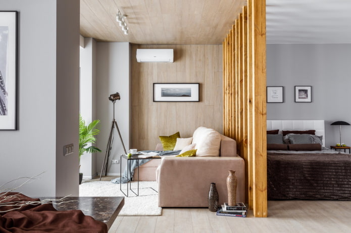 zonificación en el interior del dormitorio-salón