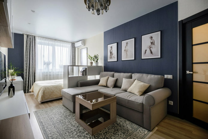 Amplio apartamento de una habitación con cama