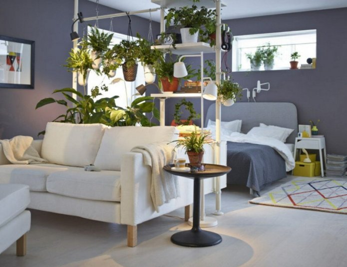 zonificación con plantas